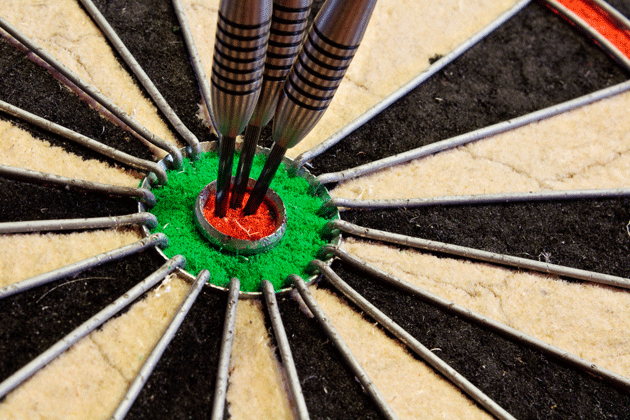 horse hair dart board